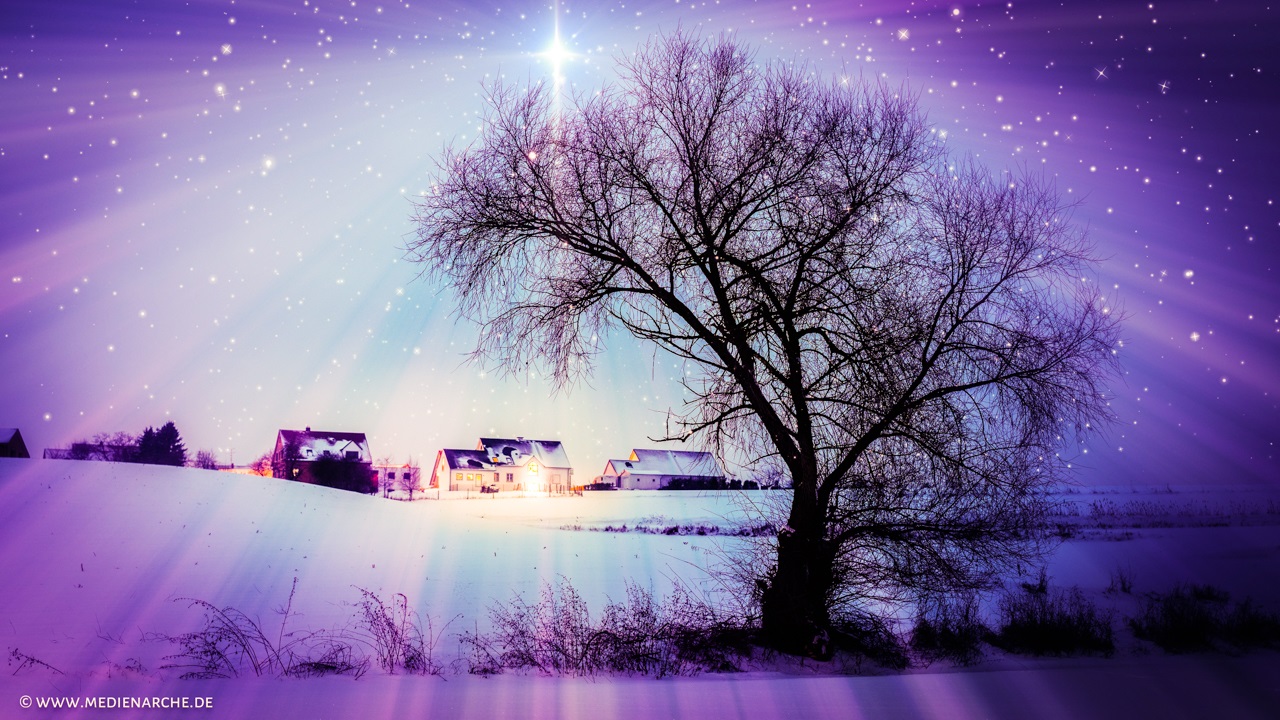 alex shute L1wZJ tVRsQ unsplash